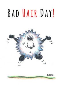 ulili-Cartoons - Bad Hair Day! - 14,8 x 10,8 cm - Preis 1 Euro